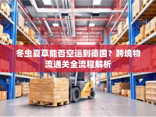 冬虫夏草能否空运到德国？跨境物流通关全流程解析