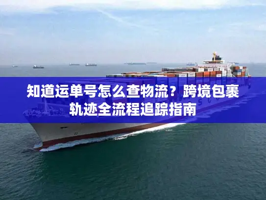 知道运单号怎么查物流？跨境包裹轨迹全流程追踪指南