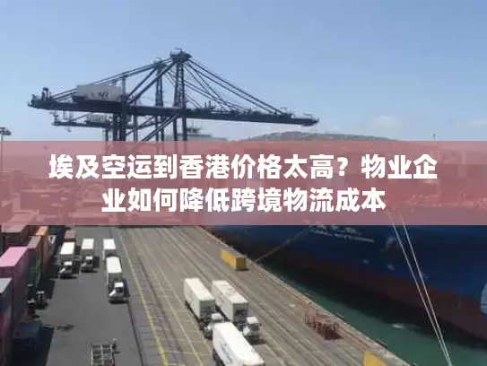 埃及空运到香港价格太高？物业企业如何降低跨境物流成本