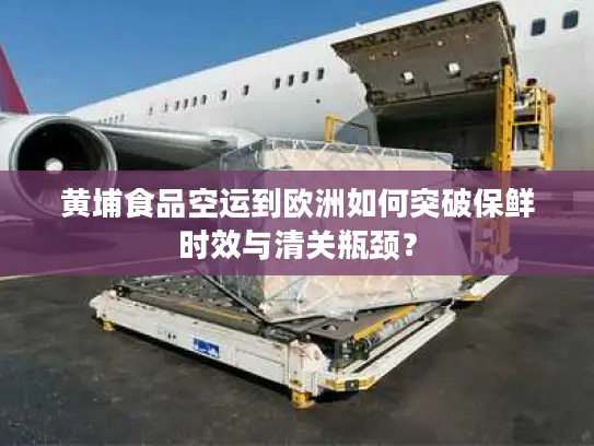 黄埔食品空运到欧洲如何突破保鲜时效与清关瓶颈？