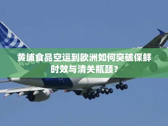 黄埔食品空运到欧洲如何突破保鲜时效与清关瓶颈？