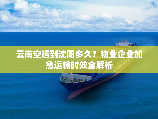 云南空运到沈阳多久？物业企业加急运输时效全解析