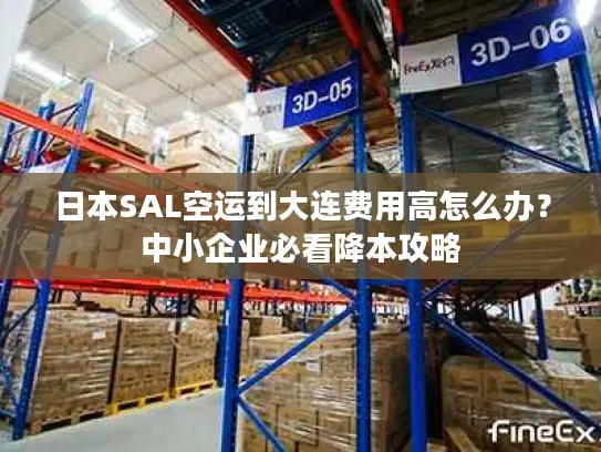 日本SAL空运到大连费用高怎么办？中小企业必看降本攻略