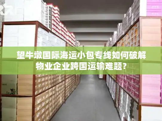 望牛墩国际海运小包专线如何破解物业企业跨国运输难题？