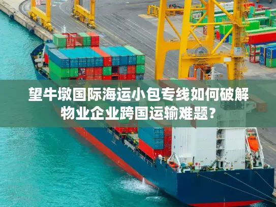 望牛墩国际海运小包专线如何破解物业企业跨国运输难题？