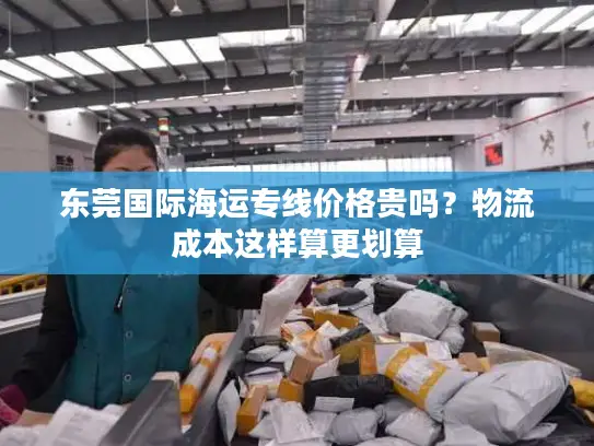 东莞国际海运专线价格贵吗？物流成本这样算更划算