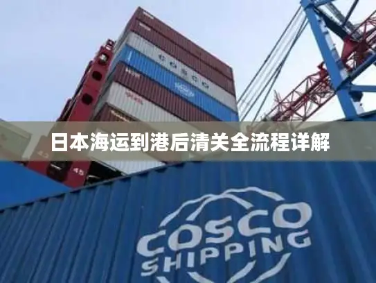 日本海运到港后清关全流程详解