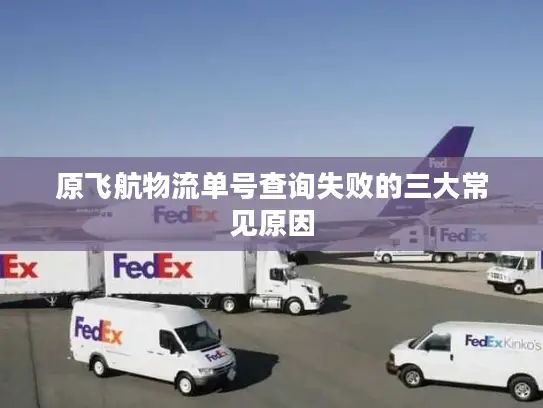 原飞航物流单号查询失败的三大常见原因