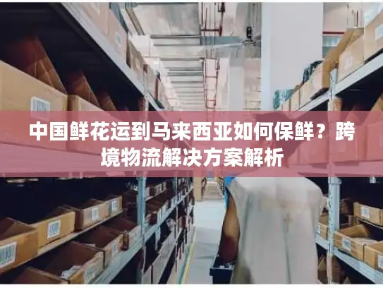 中国鲜花运到马来西亚如何保鲜？跨境物流解决方案解析