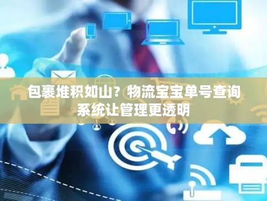 包裹堆积如山？物流宝宝单号查询系统让管理更透明