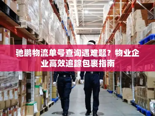驰鹏物流单号查询遇难题？物业企业高效追踪包裹指南