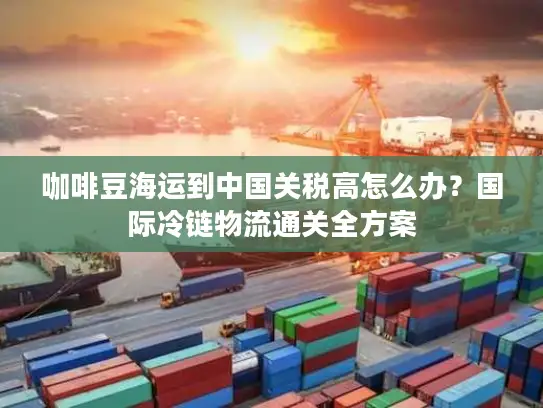 咖啡豆海运到中国关税高怎么办？国际冷链物流通关全方案