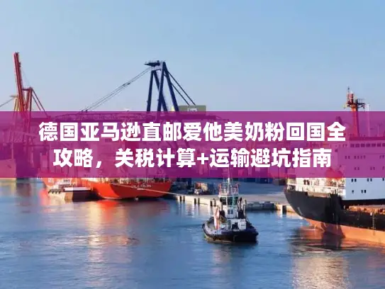 德国亚马逊直邮爱他美奶粉回国全攻略，关税计算+运输避坑指南
