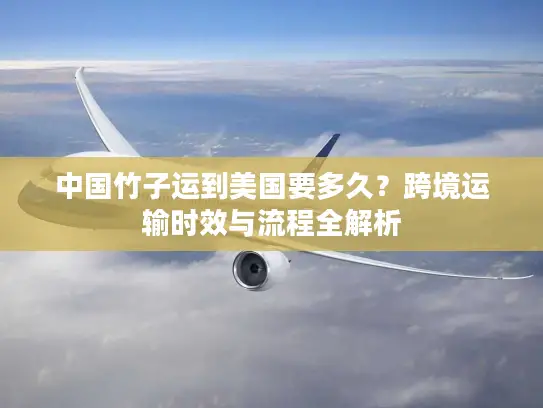 中国竹子运到美国要多久？跨境运输时效与流程全解析