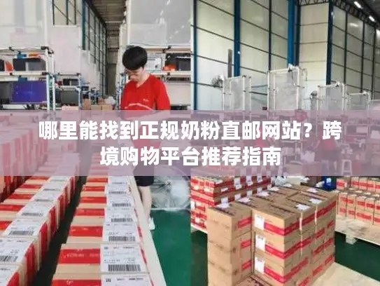 哪里能找到正规奶粉直邮网站？跨境购物平台推荐指南