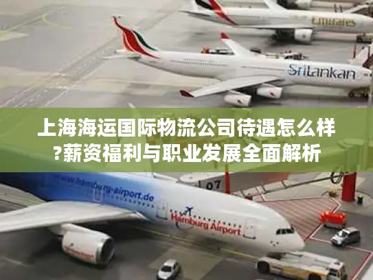 上海海运国际物流公司待遇怎么样?薪资福利与职业发展全面解析