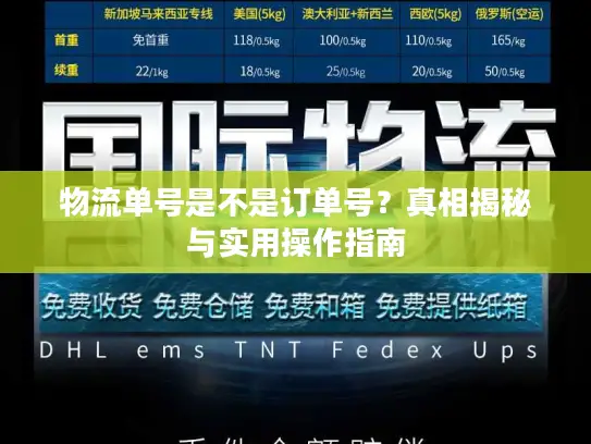 物流单号是不是订单号？真相揭秘与实用操作指南