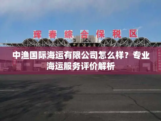 中渔国际海运有限公司怎么样？专业海运服务评价解析