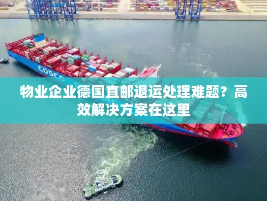 物业企业德国直邮退运处理难题？高效解决方案在这里