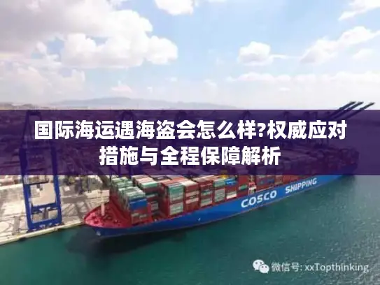 国际海运遇海盗会怎么样?权威应对措施与全程保障解析