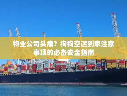物业公司头痛？狗狗空运到家注意事项的必备安全指南