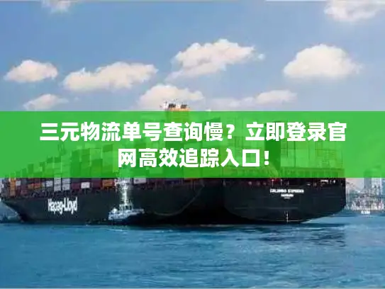 三元物流单号查询慢？立即登录官网高效追踪入口！