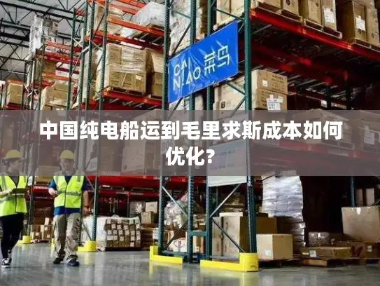中国纯电船运到毛里求斯成本如何优化?