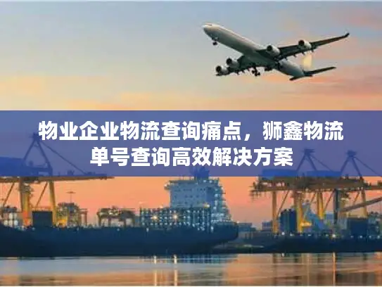 物业企业物流查询痛点，狮鑫物流单号查询高效解决方案
