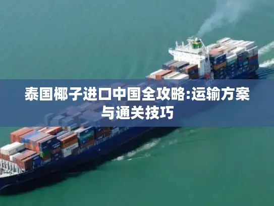 泰国椰子进口中国全攻略:运输方案与通关技巧