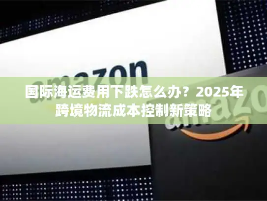 国际海运费用下跌怎么办？2025年跨境物流成本控制新策略