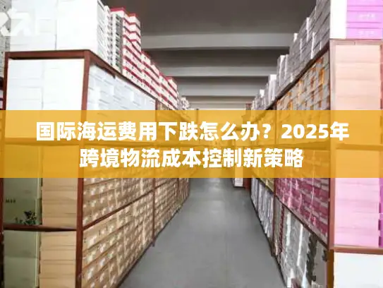 国际海运费用下跌怎么办？2025年跨境物流成本控制新策略