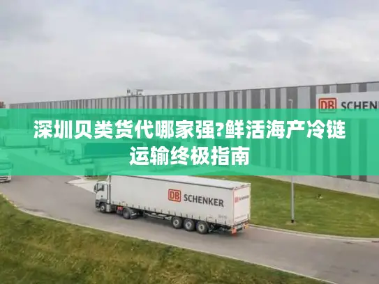深圳贝类货代哪家强?鲜活海产冷链运输终极指南