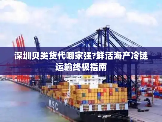 深圳贝类货代哪家强?鲜活海产冷链运输终极指南