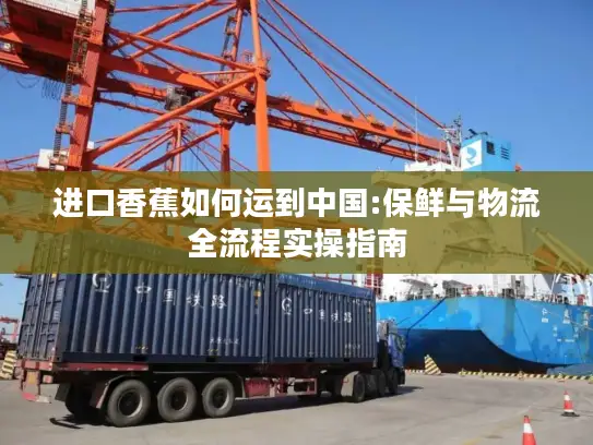 进口香蕉如何运到中国:保鲜与物流全流程实操指南