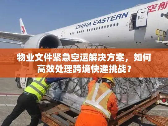 物业文件紧急空运解决方案，如何高效处理跨境快递挑战？