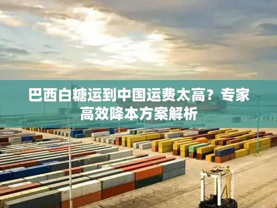 巴西白糖运到中国运费太高？专家高效降本方案解析