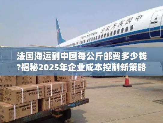 法国海运到中国每公斤邮费多少钱?揭秘2025年企业成本控制新策略