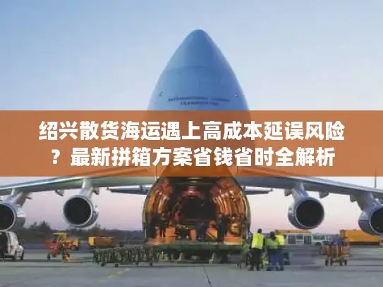 绍兴散货海运遇上高成本延误风险？最新拼箱方案省钱省时全解析