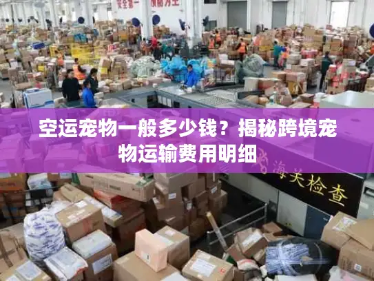 空运宠物一般多少钱？揭秘跨境宠物运输费用明细