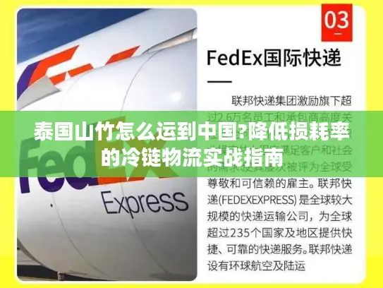 泰国山竹怎么运到中国?降低损耗率的冷链物流实战指南