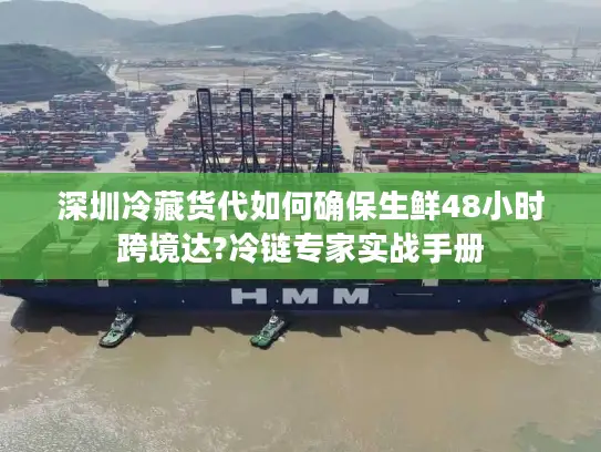 深圳冷藏货代如何确保生鲜48小时跨境达?冷链专家实战手册