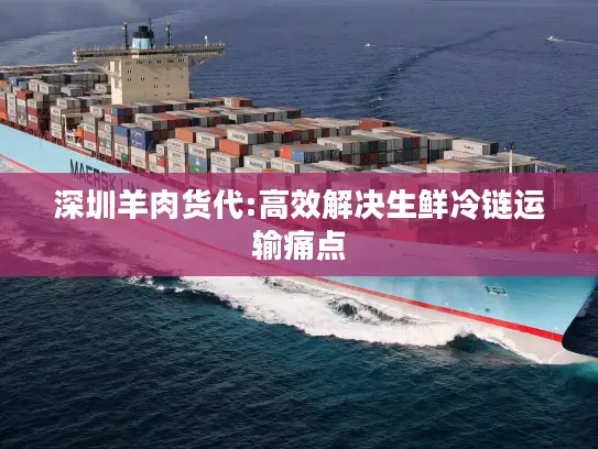 深圳羊肉货代:高效解决生鲜冷链运输痛点