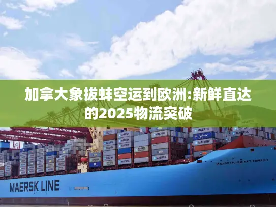 加拿大象拔蚌空运到欧洲:新鲜直达的2025物流突破