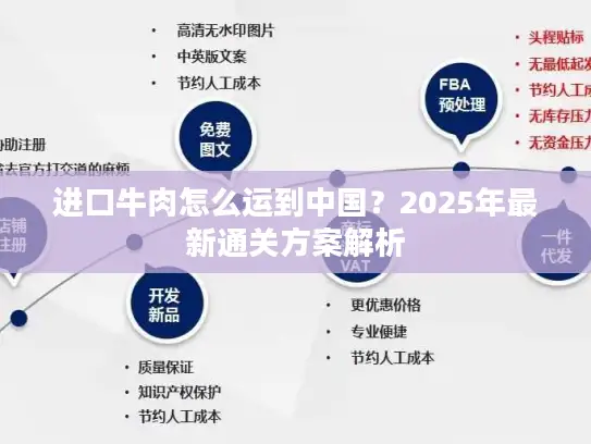 进口牛肉怎么运到中国？2025年最新通关方案解析