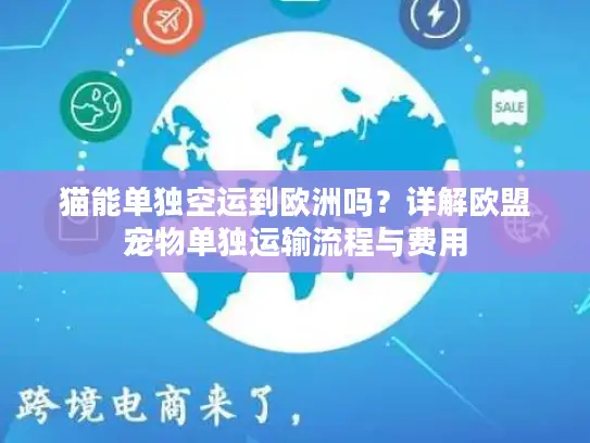 猫能单独空运到欧洲吗？详解欧盟宠物单独运输流程与费用