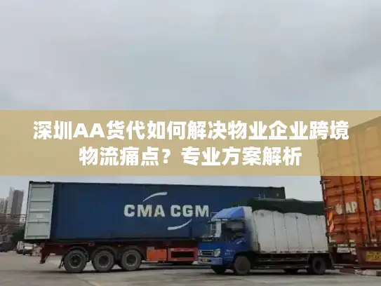 深圳AA货代如何解决物业企业跨境物流痛点？专业方案解析