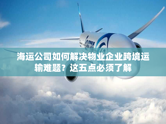海运公司如何解决物业企业跨境运输难题?这五点必须了解 海运公司如何解决物业企业跨境运输难题?这五点必须了解