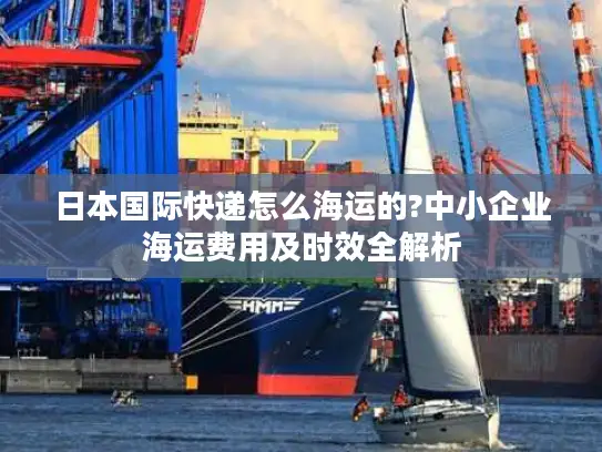 日本国际快递怎么海运的?中小企业海运费用及时效全解析