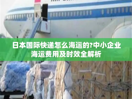 日本国际快递怎么海运的?中小企业海运费用及时效全解析