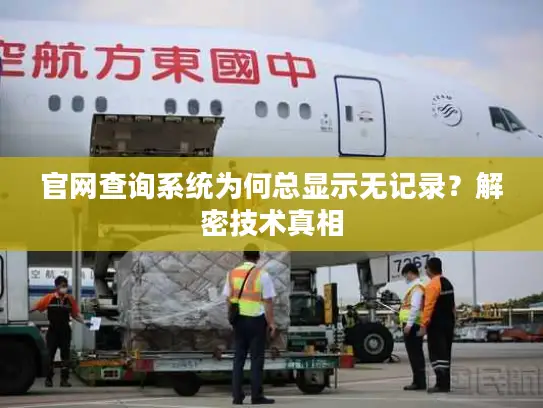 官网查询系统为何总显示无记录？解密技术真相